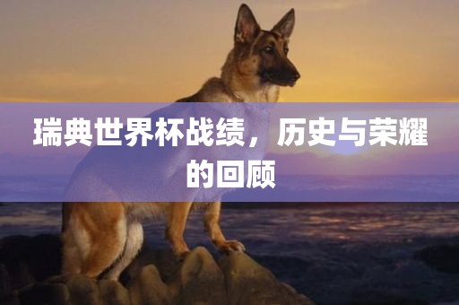 瑞典世界杯战绩，历史与荣耀的回顾广西贺州市华昌新材料有限公司