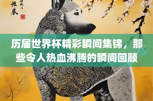 广西贺州市华昌新材料有限公司历届世界杯精彩瞬间集锦，那些令人热血沸腾的瞬间回顾