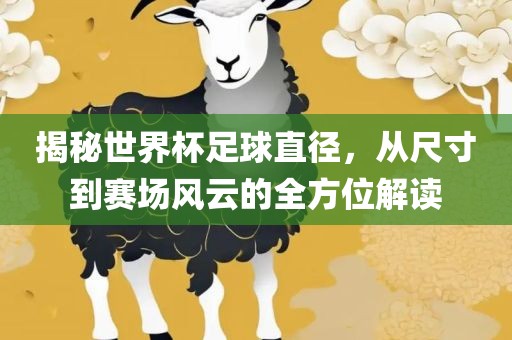 揭秘世界杯足球直径，从尺寸到赛场风云的全方位解读