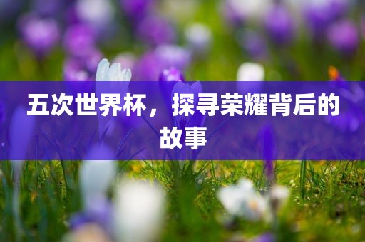 五次世界杯，探寻荣耀背后的故事