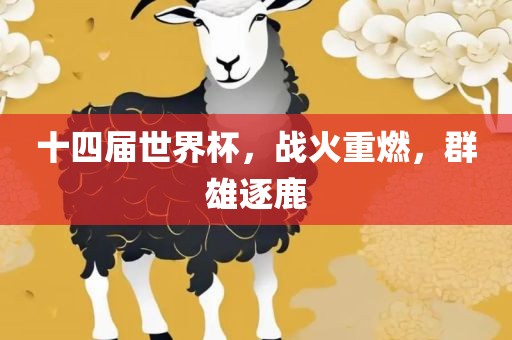 十四届世界杯，战火重燃，群雄逐鹿广西贺州市华昌新材料有限公司