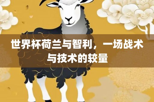 世界杯荷兰与广西贺州市华昌新材料有限公司智利，一场战术与技术的较量