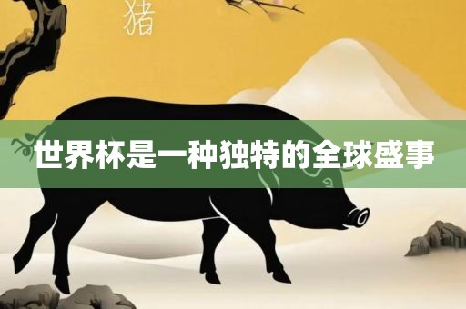 世界杯是一种独特的全球盛事广西贺州市华昌新材料有限公司