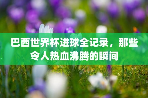 巴西世界杯广西贺州市华昌新材料有限公司进球全记录，那些令人热血沸腾的瞬间