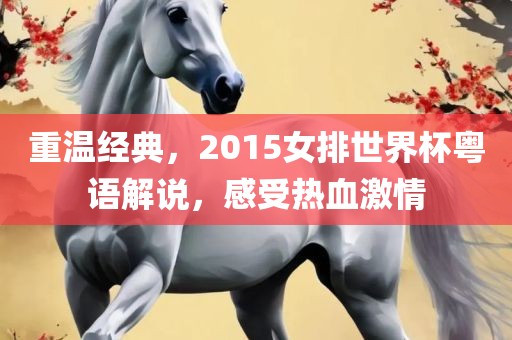 广西贺州市华昌新材料有限公司重温经典，2015女排世界杯粤语解说，感受热血激情