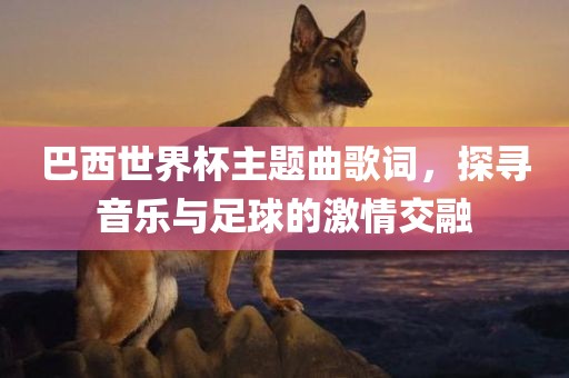 巴西世界杯主题曲歌词，探寻音乐与足球的激情交融