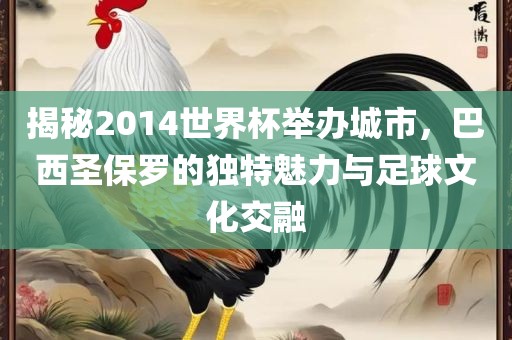 揭秘2014世界杯举办城市，巴西圣保罗的独特魅力与足球文化交融广西贺州市华昌新材料有限公司