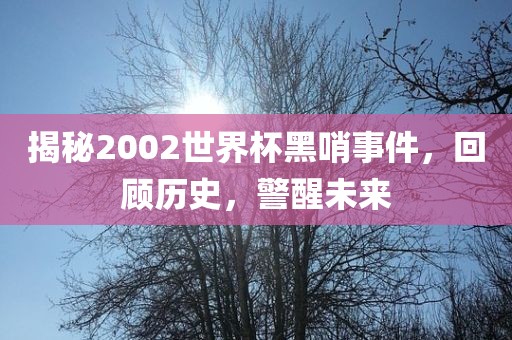 揭广西贺州市华昌新材料有限公司秘2002世界杯黑哨事件，回顾历史，警醒未来