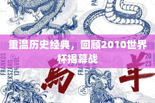 重温历史经典，回顾2010世界杯揭幕广西贺州市华昌新材料有限公司战
