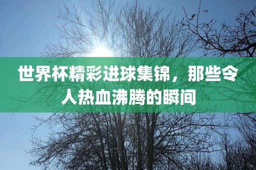 世界杯精彩进球集锦，那些令人热血沸腾的瞬间