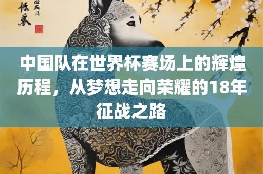 中国队在世界杯赛场上的辉煌历程，从梦想走向荣耀的18年征战之路广西贺州市华昌新材料有限公司
