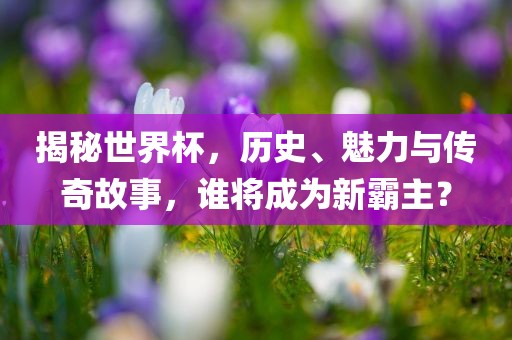 揭秘世界杯，历史、魅力与传奇故事，谁将成为新霸主？广西贺州市华昌新材料有限公司