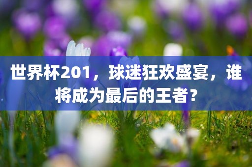 世界杯201，球迷狂欢盛宴，谁将成为最后的王者？广西贺州市华昌新材料有限公司