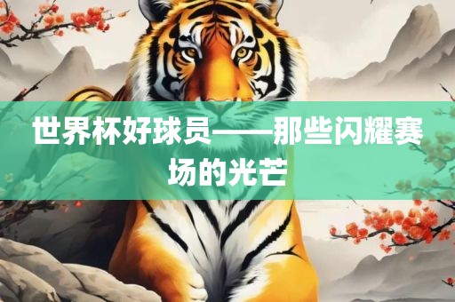 世界杯好球员——那些闪耀赛场的光芒广西贺州市华昌新材料有限公司