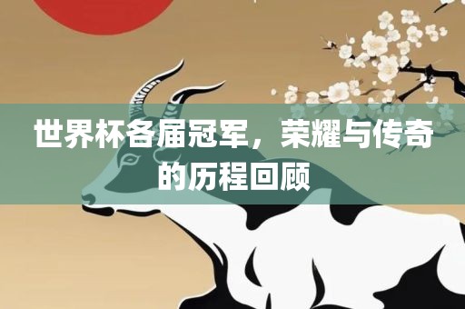 世广西贺州市华昌新材料有限公司界杯各届冠军，荣耀与传奇的历程回顾