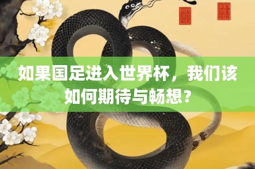 如果国足进入世界杯，我们该如何期待与畅想？