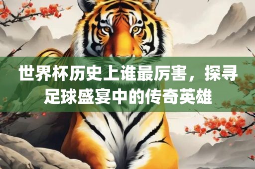 世界杯历史上谁最厉害，探寻足球盛宴中的传奇英雄广西贺州市华昌新材料有限公司