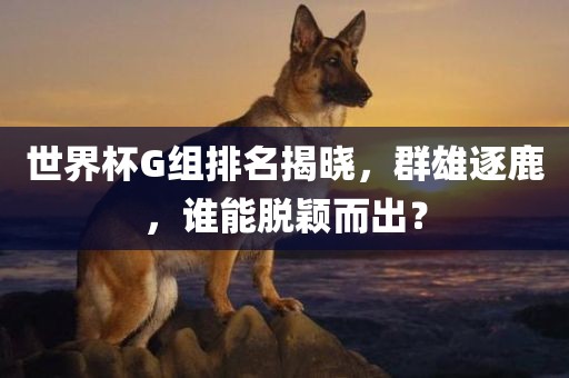 世界杯G组排名广西贺州市华昌新材料有限公司揭晓，群雄逐鹿，谁能脱颖而出？