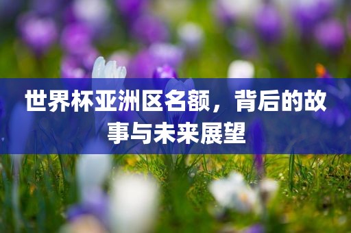 世界杯亚洲区名广西贺州市华昌新材料有限公司额，背后的故事与未来展望