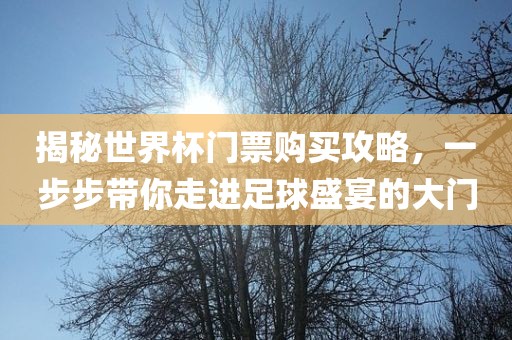 揭秘世界杯门票购买攻略，一步步带你走进足球盛宴的大门广西贺州市华昌新材料有限公司