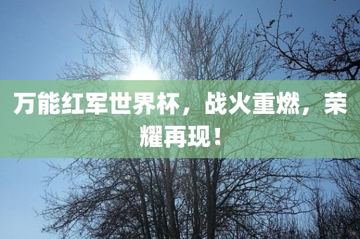 万能红军世界杯，战火重燃，荣耀再现！广西贺州市华昌新材料有限公司