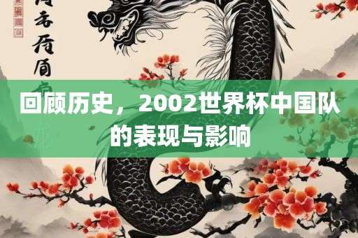回顾历史，2002世界杯中国队的表现与影响广西贺州市华昌新材料有限公司