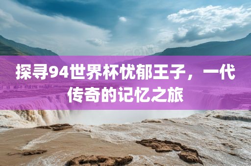 探寻94世界杯忧郁王子，一代传奇的记忆之旅广西贺州市华昌新材料有限公司