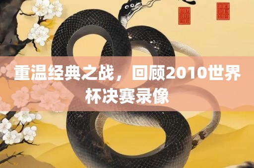 重温经典之战，回顾2010世界杯决赛录像广西贺州市华昌新材料有限公司
