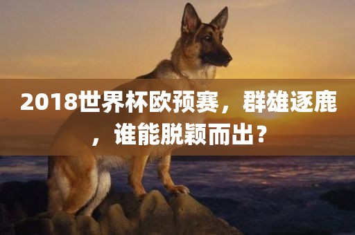 2018世界杯欧预赛，群雄逐鹿，谁能脱颖而出？广西贺州市华昌新材料有限公司