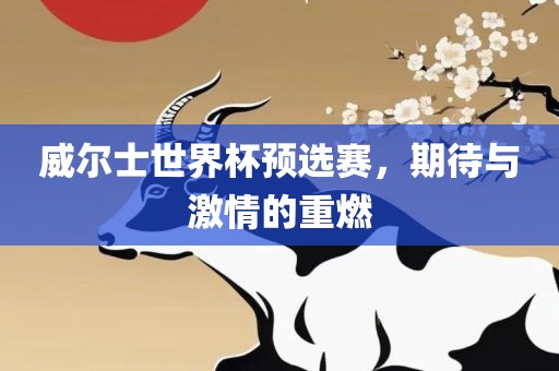 威尔士世界杯预选赛，期待与激情的重燃广西贺州市华昌新材料有限公司