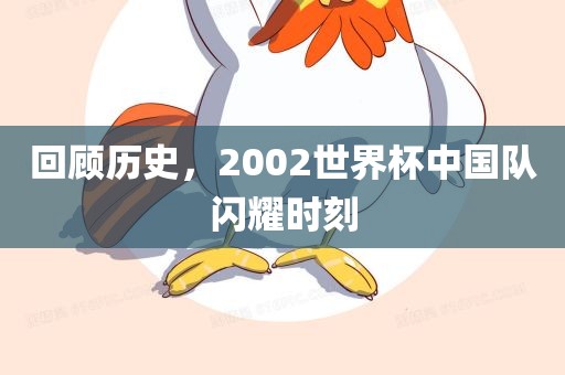 回顾历史，2002世界杯中国队闪耀时刻广西贺州市华昌新材料有限公司