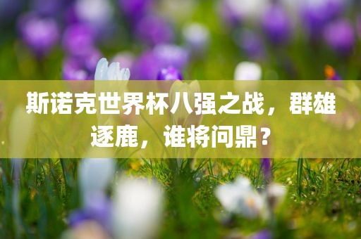 斯诺克世界杯八强之战，群雄逐鹿，谁将问鼎？