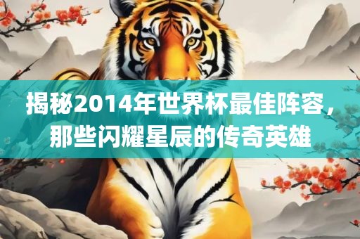 揭秘2014年世界杯最佳阵容，那些闪耀星辰的传奇英雄