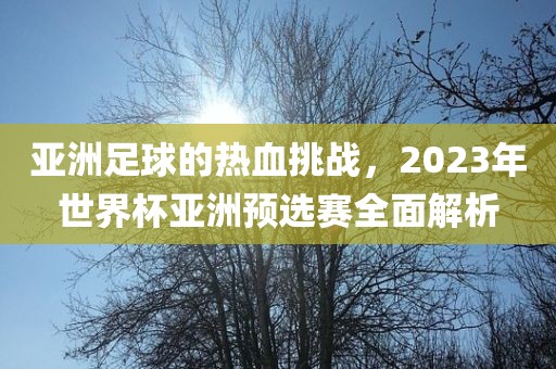 亚洲足球的热血挑战，2023年世界杯亚洲预选赛全面解析