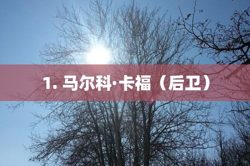 1. 马尔科·卡福（后卫）广西贺州市华昌新材料有限公司