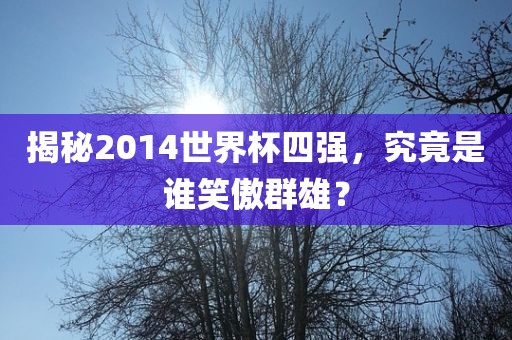 揭秘2014世界杯四强，究竟是谁笑傲群雄？