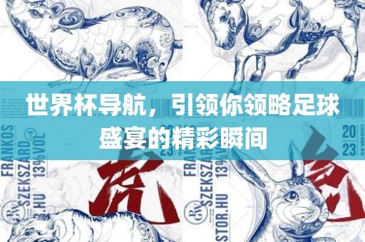 世界杯导航，引领你领略足球盛宴的精彩瞬间