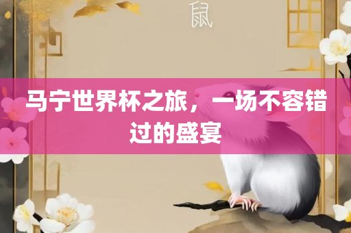 nieruihai 第4页