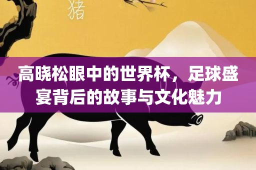 高晓松眼中的世界杯，足球盛宴背后的故事与文化魅力广西贺州市华昌新材料有限公司
