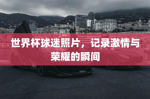 世界杯球迷照片，记录激情与荣耀的瞬间广西贺州市华昌新材料有限公司