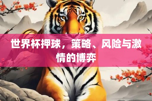 世界杯押球，策略、风险与激情的博弈广西贺州市华昌新材料有限公司