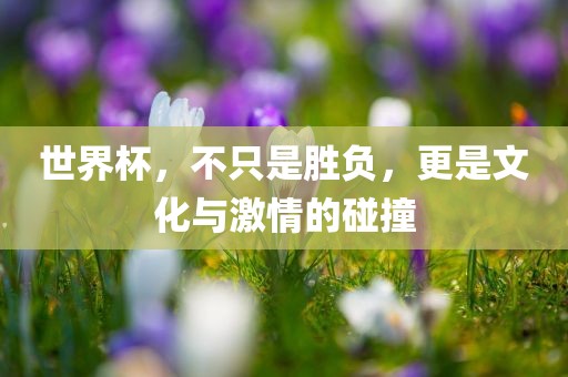 广西贺州市华昌新材料有限公司世界杯，不只是胜负，更是文化与激情的碰撞