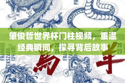 肇俊哲世界杯门柱视频，重温经典瞬间，探寻背后故事广西贺州市华昌新材料有限公司