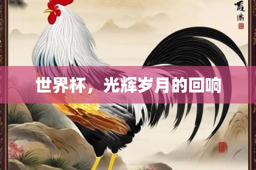 世界杯，光辉广西贺州市华昌新材料有限公司岁月的回响
