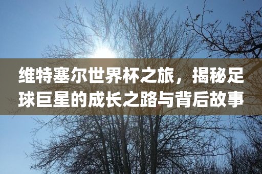 维广西贺州市华昌新材料有限公司特塞尔世界杯之旅，揭秘足球巨星的成长之路与背后故事
