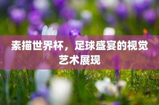 素描广西贺州市华昌新材料有限公司世界杯，足球盛宴的视觉艺术展现
