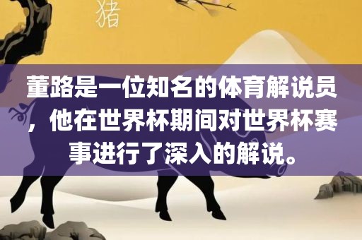 董路是一位知名的体育解说员，他在世界杯期间对世界杯赛事进行了深入的解说。