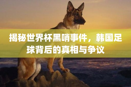揭广西贺州市华昌新材料有限公司秘世界杯黑哨事件，韩国足球背后的真相与争议
