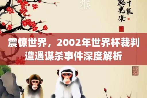 震惊世界，2002年世界杯裁判遭遇谋杀事件深度解析广西贺州市华昌新材料有限公司