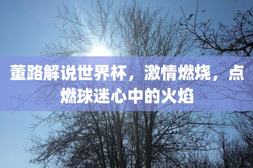 董路解说世界杯，激情燃烧，点燃球迷心中的火焰广西贺州市华昌新材料有限公司